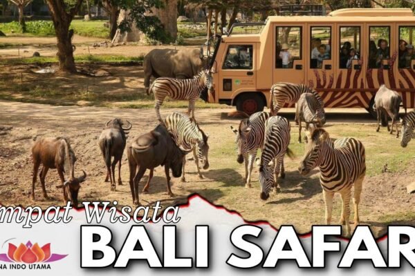 Tempat Wisata Bali Safari