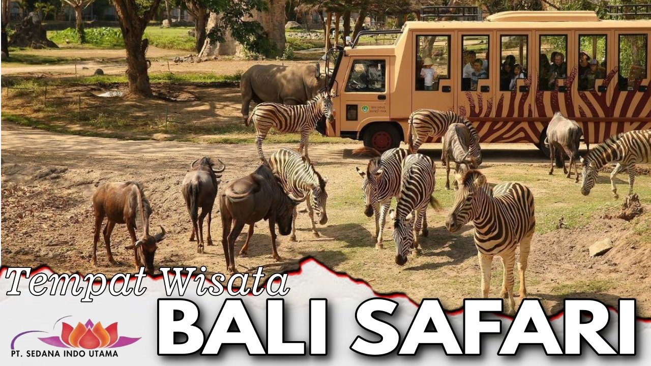 Tempat Wisata Bali Safari