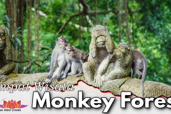 Monkey Forest