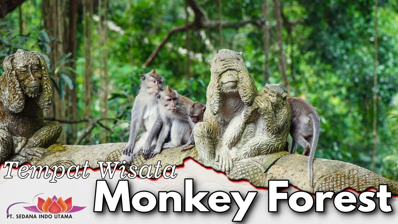 Monkey Forest