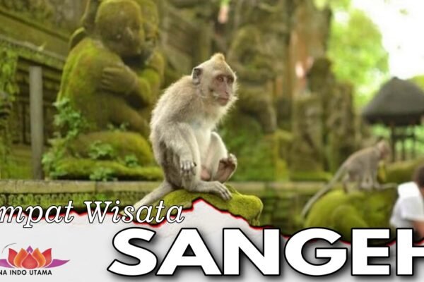 Tempat Wisata Sangeh