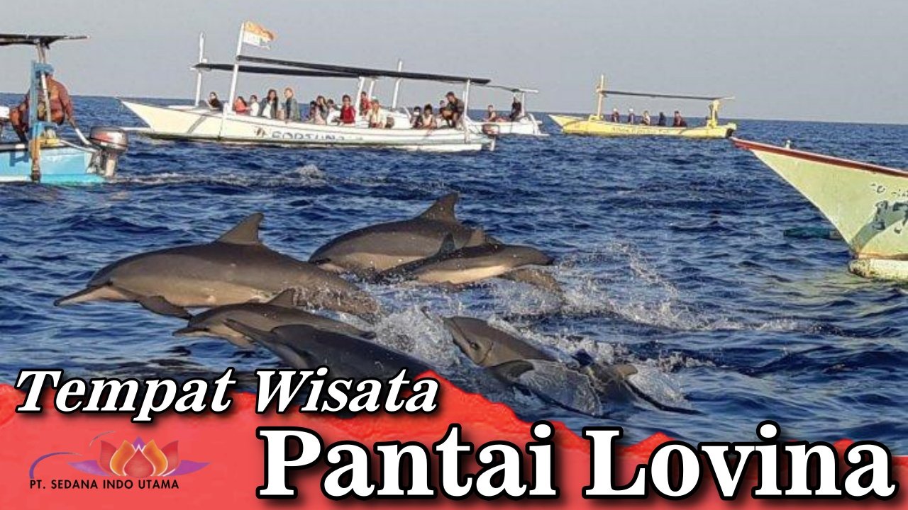 Tempat wisata Pantai Lovina