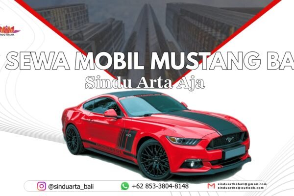 Sewa Mobil Mustang diBali