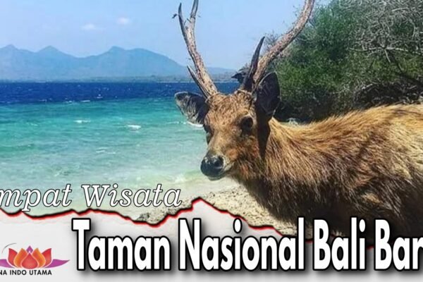 Taman Nasional Bali Barat