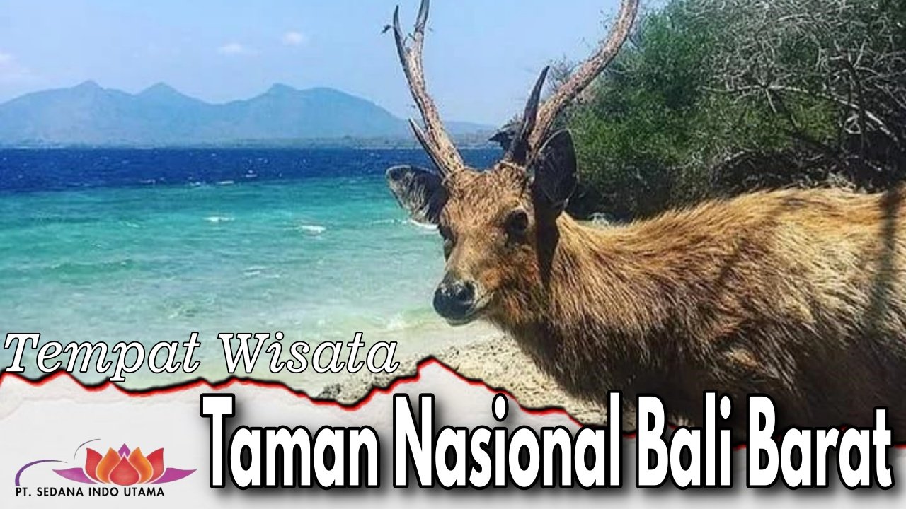 Taman Nasional Bali Barat