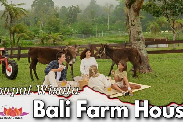 Tempat Wisata Bali Fram House