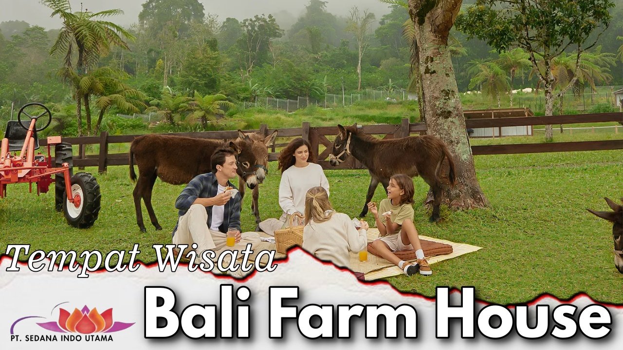 Tempat Wisata Bali Fram House