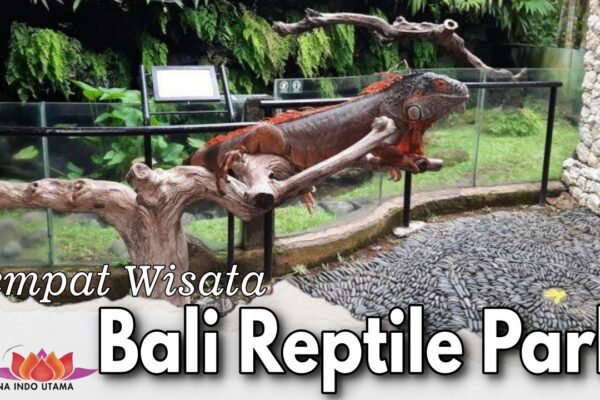 Tempat Wisata Bali Reptile Park