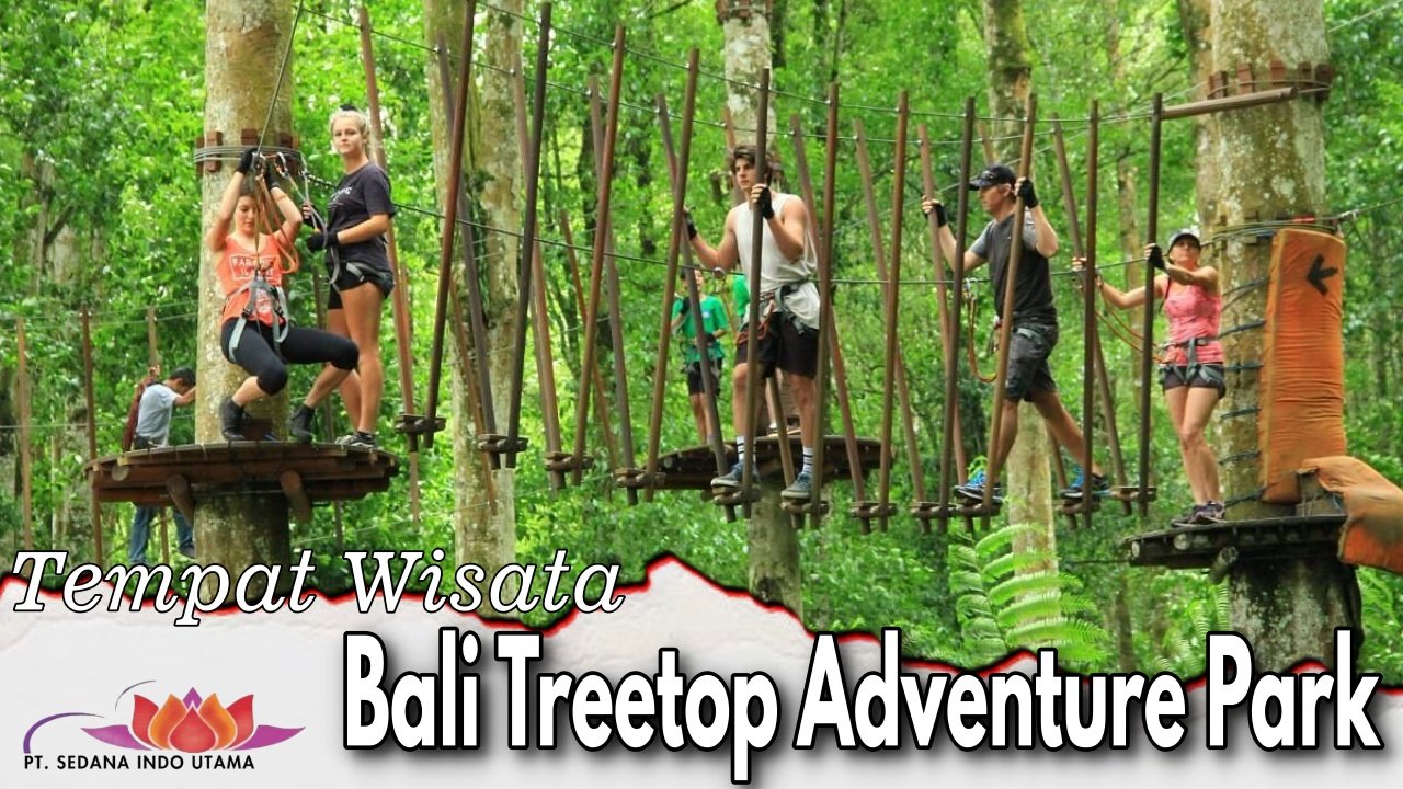 Bali Treetop Adventure Park