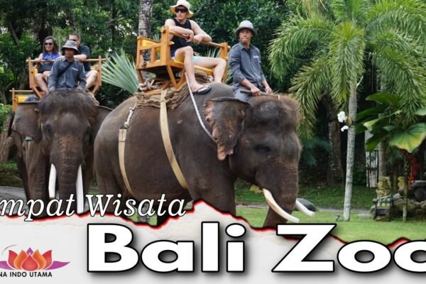 Tempat Wisata Bali Zoo
