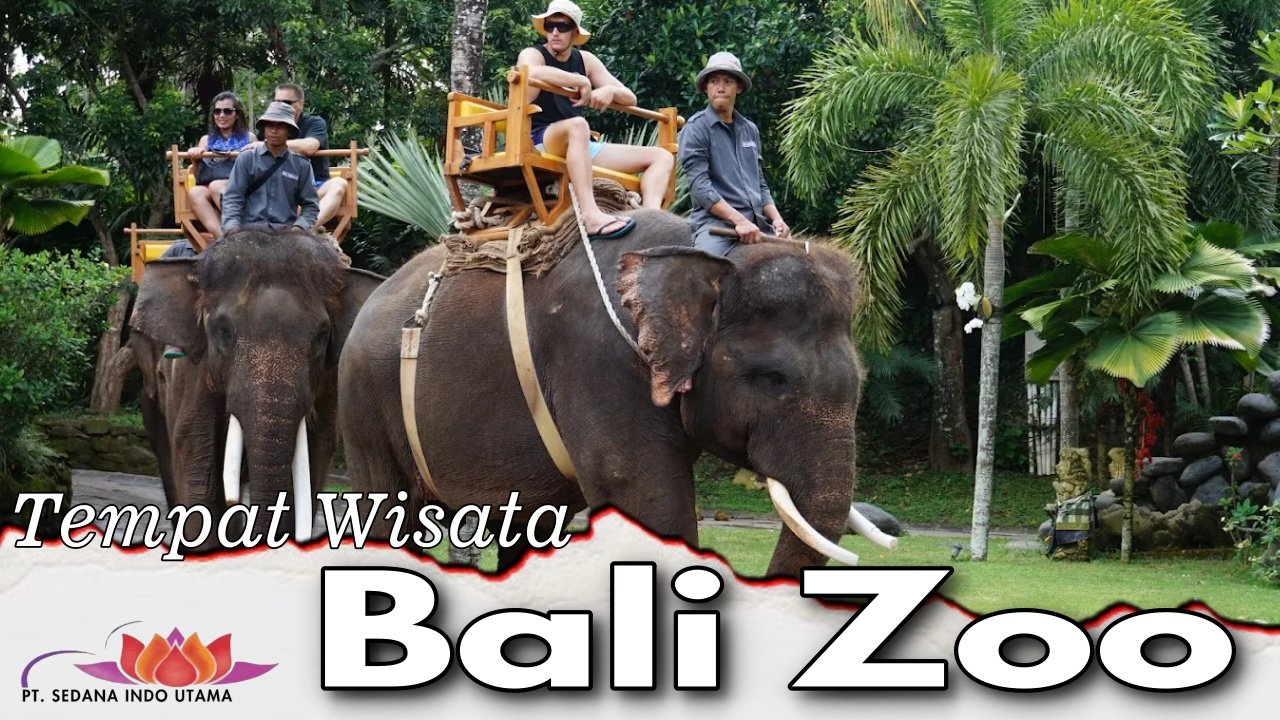 Tempat Wisata Bali Zoo