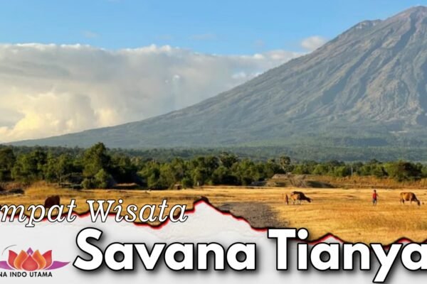 Tempat Wisata Savana Tianyar