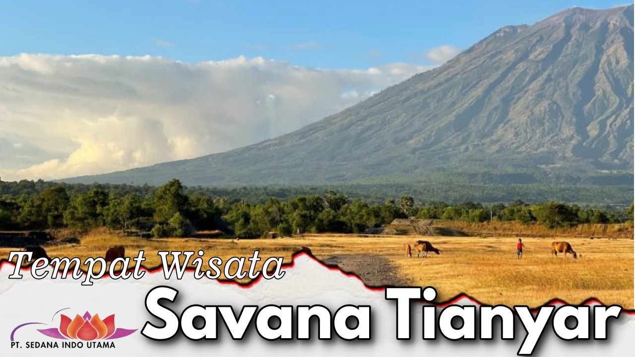 Tempat Wisata Savana Tianyar