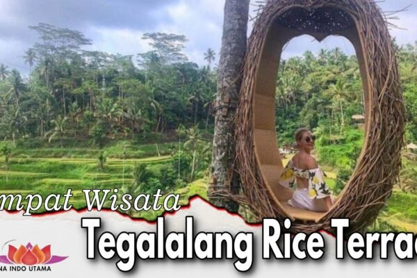 Tempat Wisata Tegalalang Rice Terrace