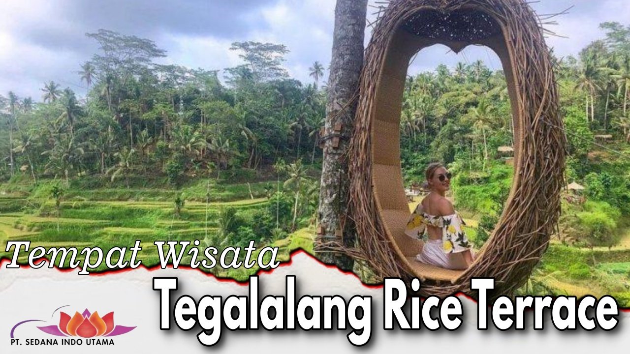 Tempat Wisata Tegalalang Rice Terrace