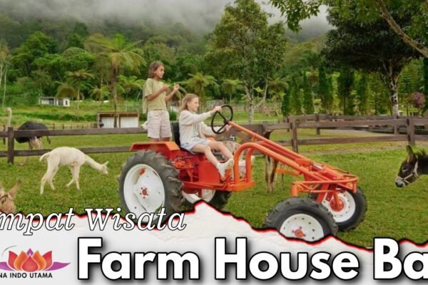 Tempat Wisata Fram House Bali