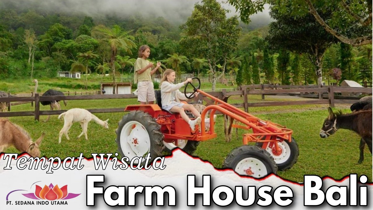 Tempat Wisata Fram House Bali