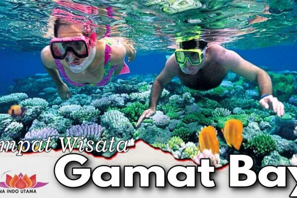 Tempat Wisata Gamat Bay