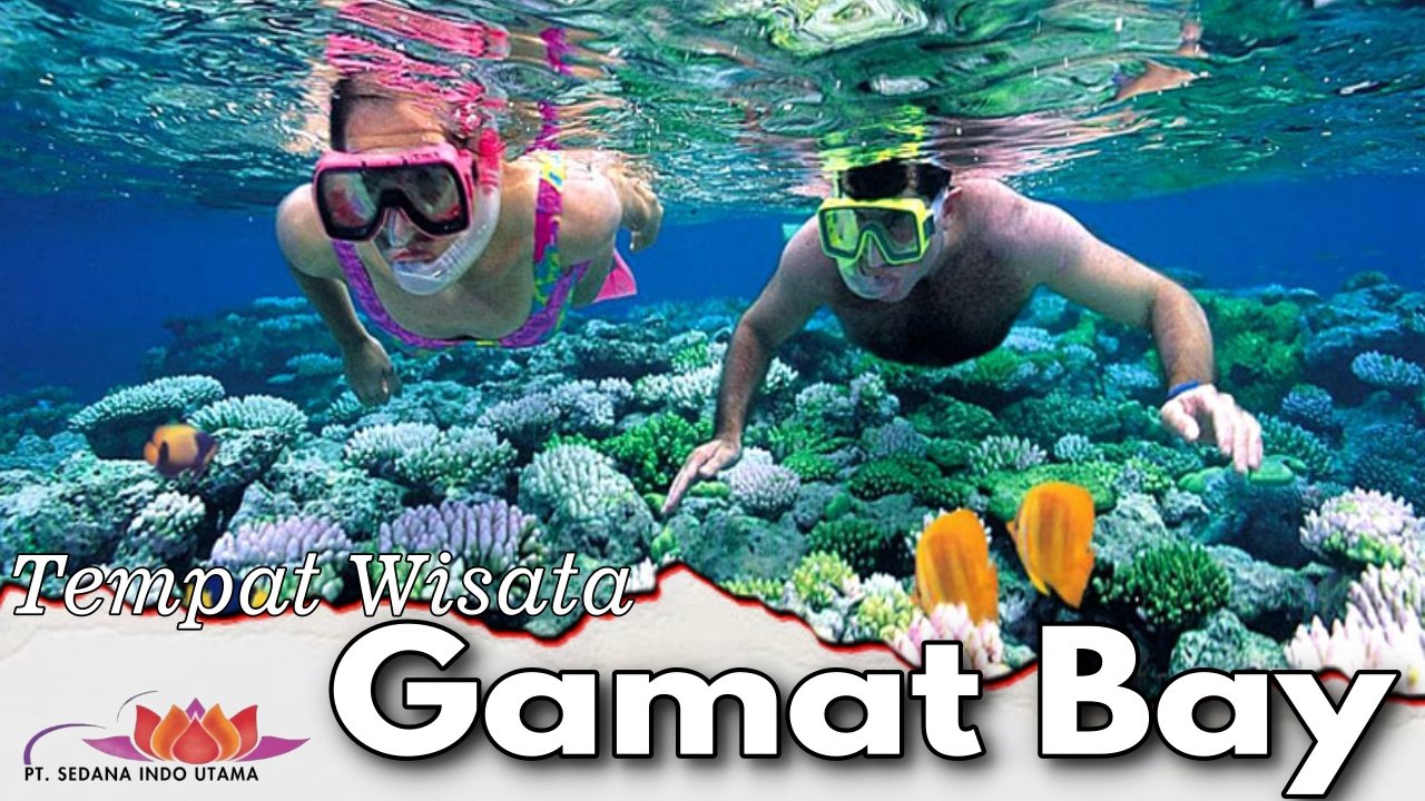 Tempat Wisata Gamat Bay