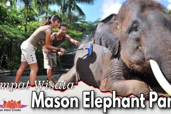 Mason Elephant Park