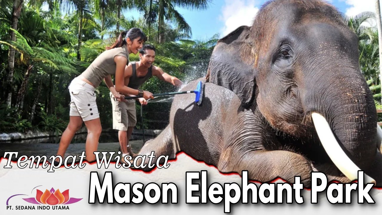 Mason Elephant Park