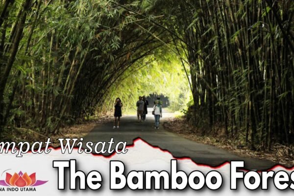 Tempat Wisata The Bamboo Forest