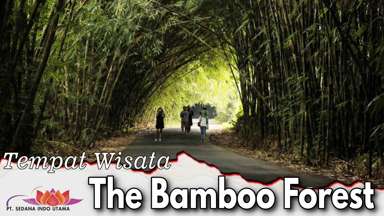 Tempat Wisata The Bamboo Forest