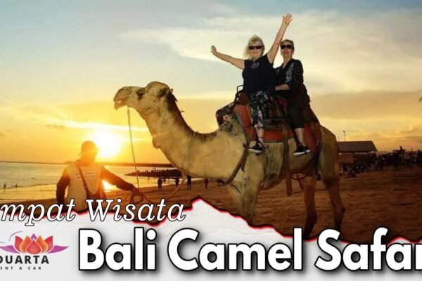 Bali Camel Safari
