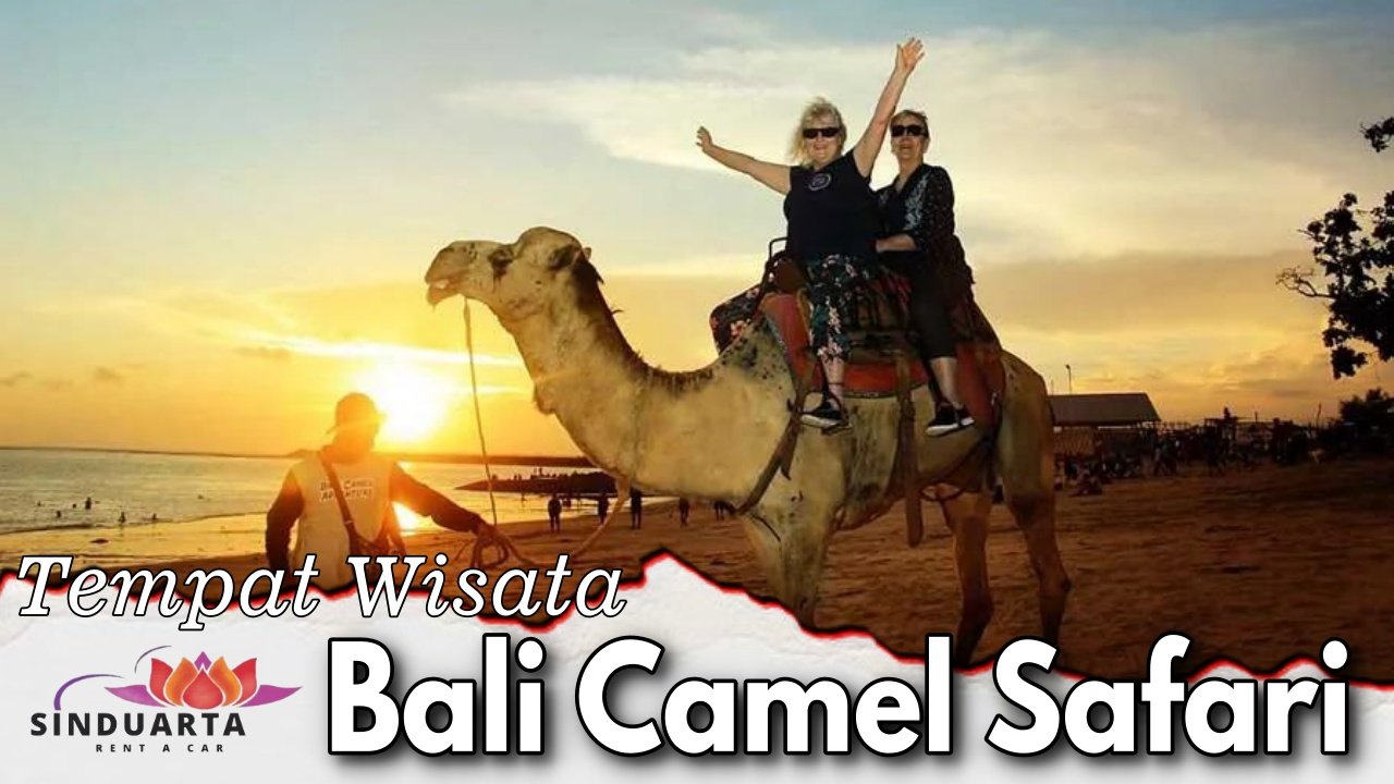 Bali Camel Safari
