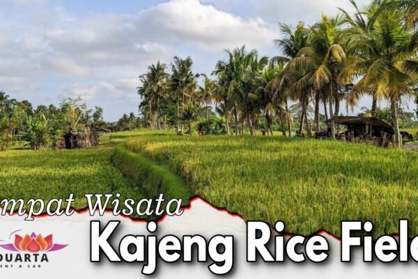 Tempat Wisata Kajeng Rice Field