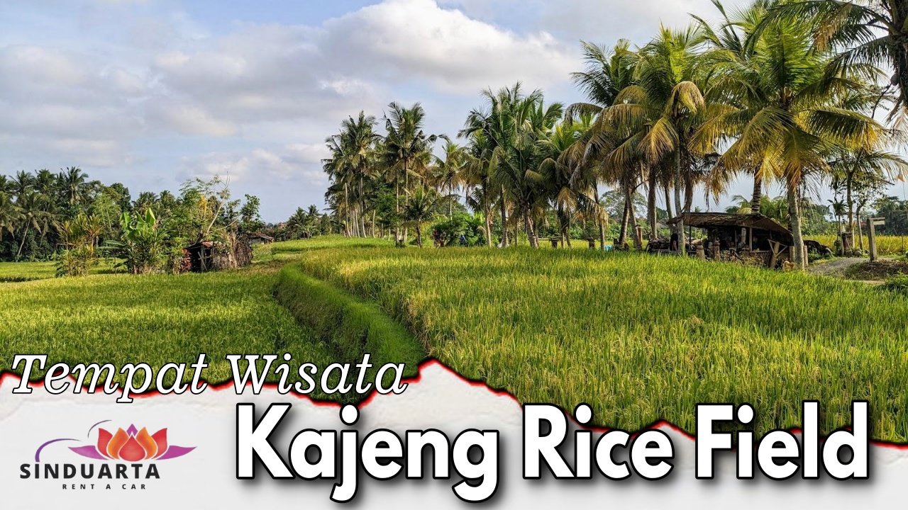 Tempat Wisata Kajeng Rice Field