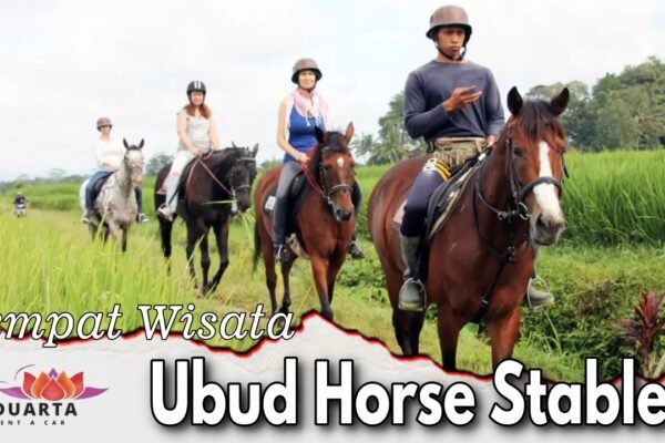 Ubud Horse Stables