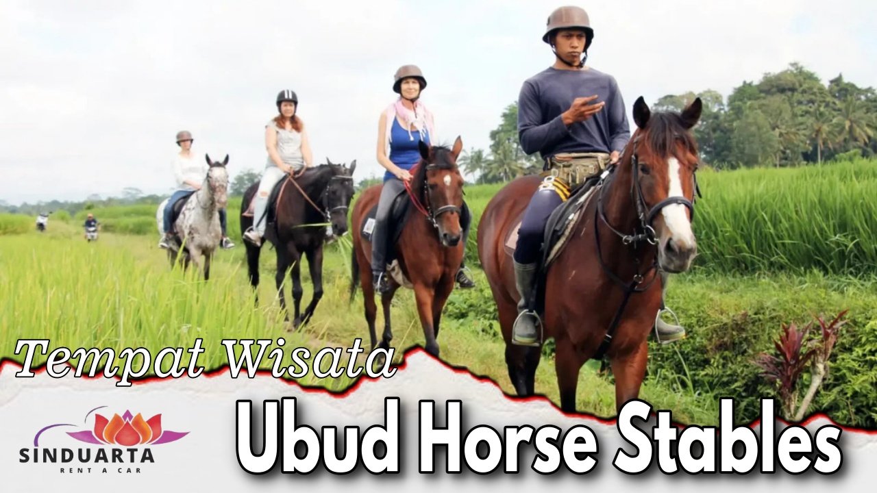 Ubud Horse Stables