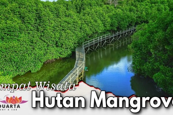 Tempat Wisata Hutan Mangrove