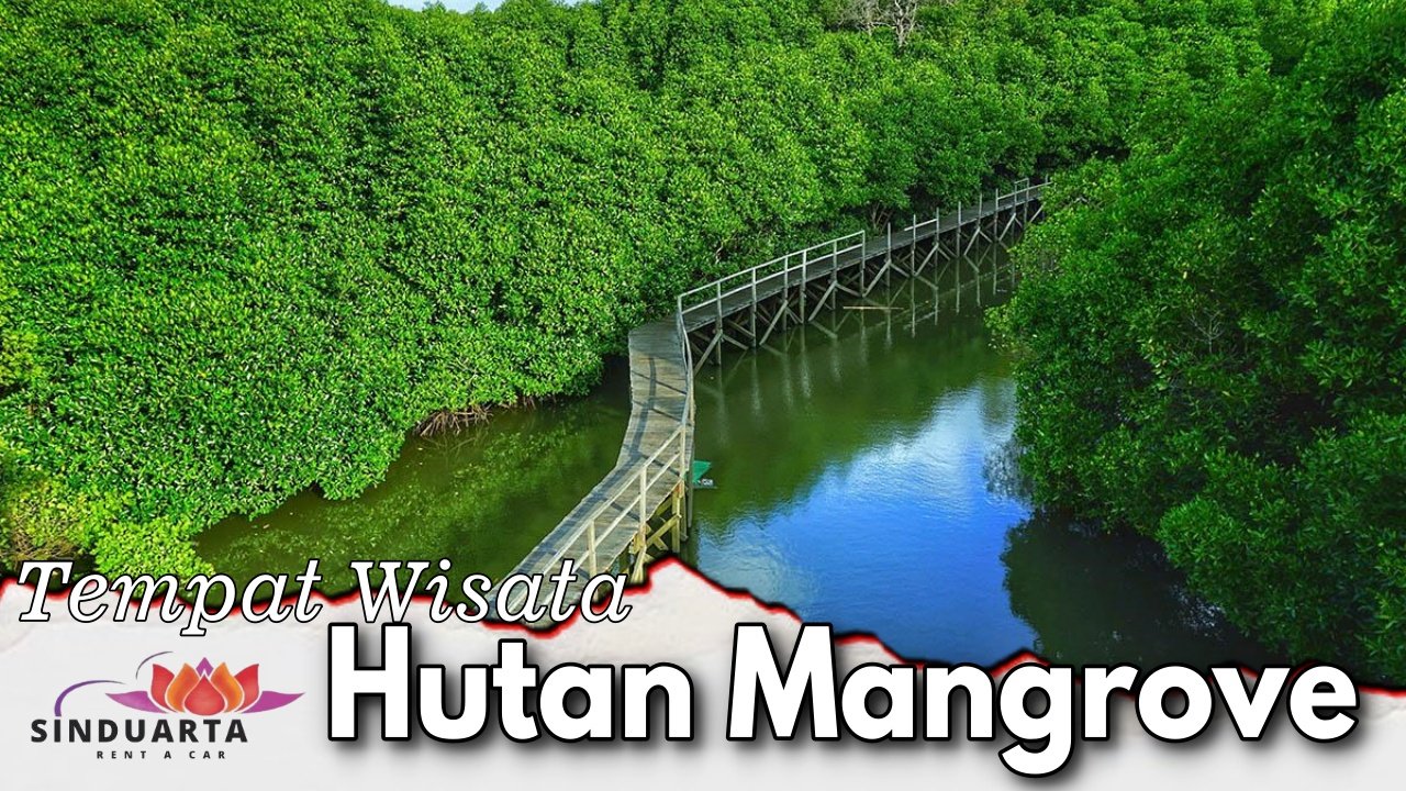 Tempat Wisata Hutan Mangrove