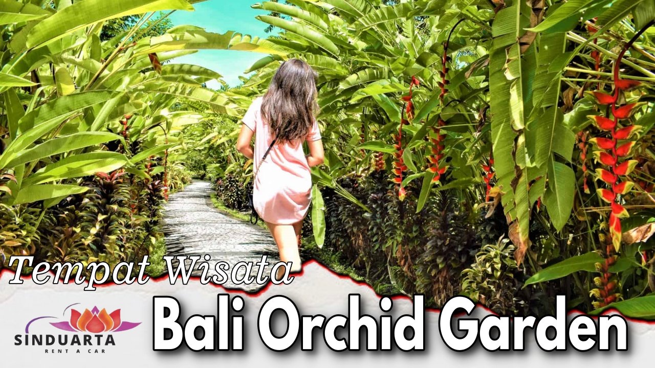 Bali Orchid Garden
