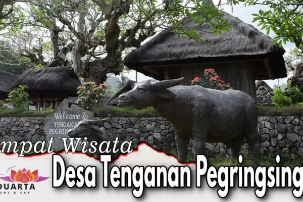 Desa Tenganan Pegringsingan